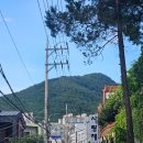 지에스(GS)25 초읍성지곡점 이미지