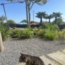 이씨네 상점 이미지