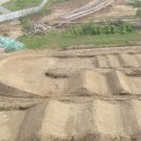 한강파크장 이미지