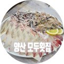 양산우체국 | 전어회 모둠회가 맛있는 양산 신기동 횟집, 모두횟집 후기