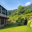 꽃피는 유포리 이미지