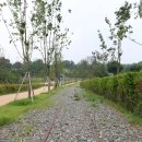 오목천역 상부공간  이미지