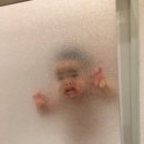 스타토 이미지