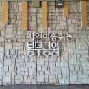 봉무공원 테니스장 이미지