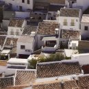 국제부동산중개 이미지