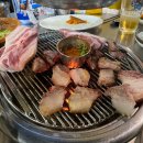 제주 와따해양레저 펜션 | [25.09.06~08] 제주 표선, 서귀포 커플 여행 / 제주 스노쿨링 명소 표선항 / 표선 맛집 추천