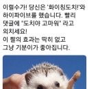 삼진커피 남포점 이미지