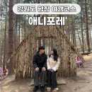 신진목장 | 겨울 강원도 여행 평창 가볼만한곳 애니포레 솔직 후기