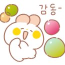 순천젠틀맨