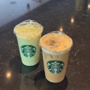 세븐일레븐 부산지사원룸점 | 요정일상 :: 26년 2월 일상모음.zip