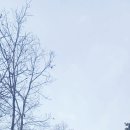 죽산 두현리 석조삼존불상 | 안성 돌부처 미륵 마애사존 불상과 석조 삼존불상