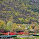 곡성집라인 이미지