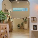 유아사진관 이미지