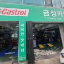 금성카포스 이미지