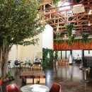 청년카페 야외 이미지