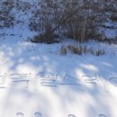 동일힐스테이트공인중개사사무소 이미지