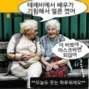 컬투쇼 레전드 사연 / 인디언의 말안장 이미지