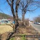 진흥 부동산중개사무소 이미지