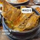 (주)우리동네라운지 | 이번주 발바리 일상 프로퍼커피바, 신라스테이 역삼 카페 부페, 집에서 노래방