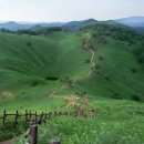 증산-003 이미지