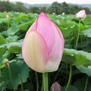 조비마을회관 이미지