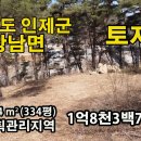 조선시대 산수화에 나올법한 소나무숲 병풍 토지 334평. 1억8천3백7십만원 이미지