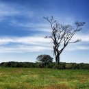 사랑목장2 이미지