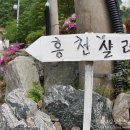 홍천샬레 이미지