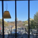 소나무와 호수 | 대구 수성못 대형카페 내돈내산 후기, 핸즈커피에서 여유로운 호수 뷰 즐기기!