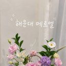 해운대꽃집 메르엘 엘시티 안에 있어 선물하기 좋았던 부산꽃집