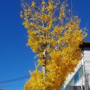 토속마을 이미지