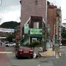 쌍생수 이미지