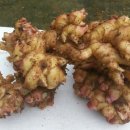 원농장1 이미지