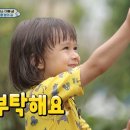 탑태권도 이미지