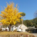 남한강 고운골 자연학습원 이미지