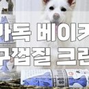 개풍당당