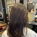 노원-현장-1113 | 노원미용실 토리헤어 여자 긴머리염색 클리닉 기장추가금없음