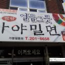 가야얼음집