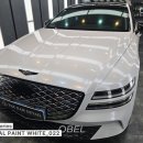 메탈솔루션(METAL SOLUTION) | 제네시스 전체 랩핑｜오벨 METAL PAINT WHITE · 더램 디테일 김해점 시공 후기