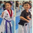 강철태권도 이미지