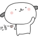 서초연꽃 이미지