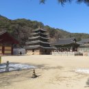 화림사 삼층석탑 | 충청북도 사찰 목록