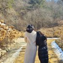 금빛가든 | 볼만한 곳 추천! 더 스테이 힐링파크 겨울 산책로 가든 동물원, 별빛정원 얼음 썰매장 시설 실제 이용 후기