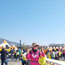 서귀포유채꽃세계걷기축제10km달성/ 오늘도 합니다 이미지