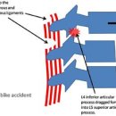 포도나무한의원 이미지
