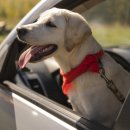 헤이든동물병원 이미지