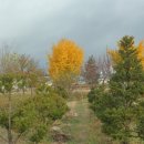 동미농장 이미지