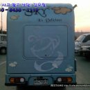 세정카 Daum카페