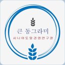 2024 토탈댄스 이미지