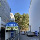 지장보건진료소 | 전남대학교 보건진료소 독감 예방접종 후기